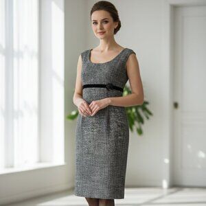 Dana Buchman Wool Sheath Dress w/ Brooch Pin (NWT)